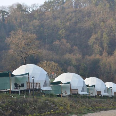Hotel Dengekoru Wildlife & Glamping à Mudurnu Extérieur photo